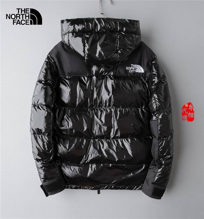 The North Face Men's Outwear 223